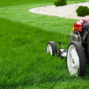 3 - Gazon naturel et gazon synthétique
